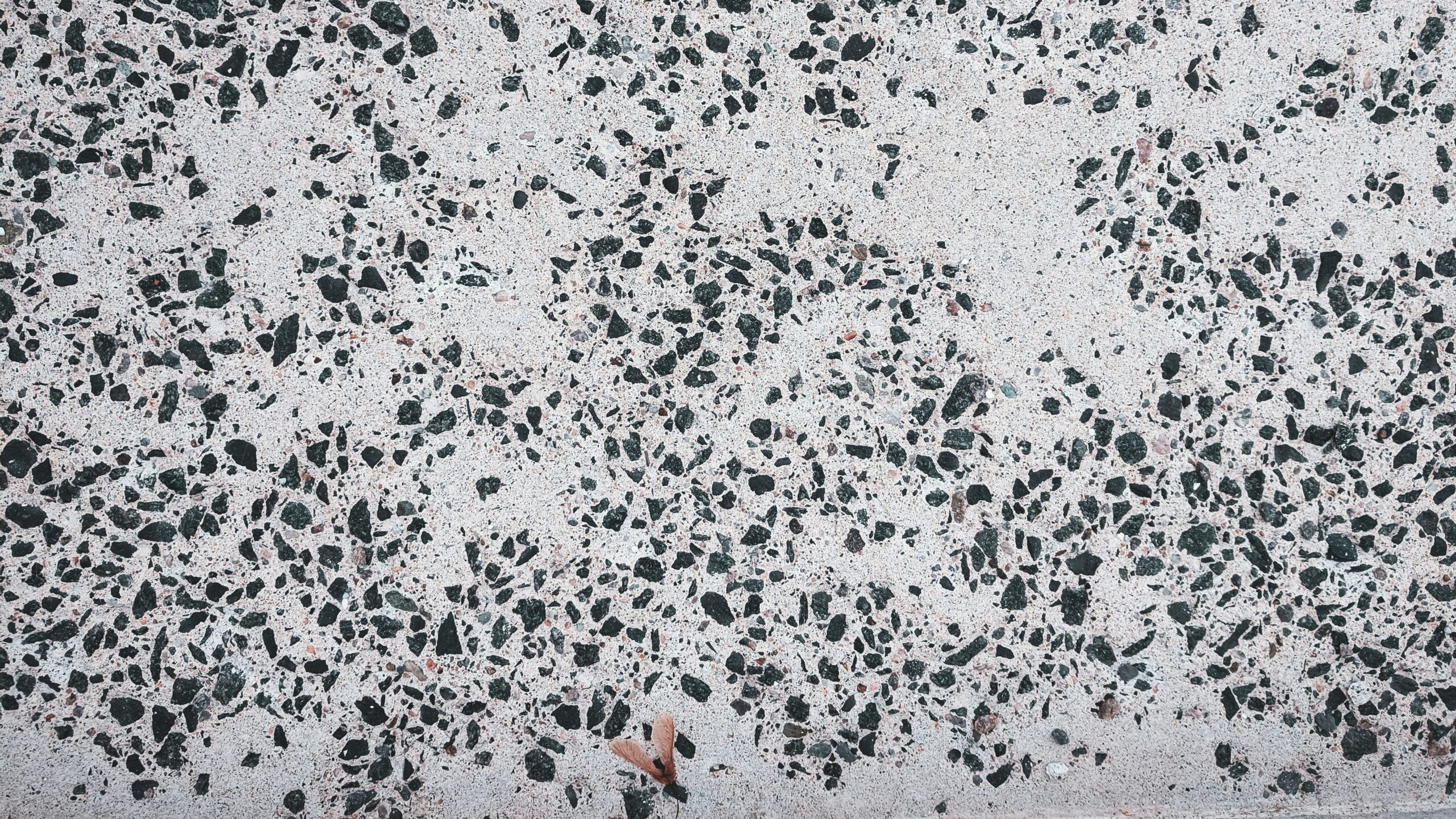 Oak and Shine - Image 2